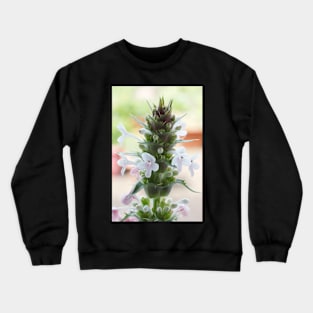 Morina longifolia  Long-leaved whorlflower Crewneck Sweatshirt